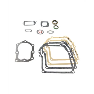 Tömítés szett Briggs 110700,110900,111700,111900,112700,122900,113900