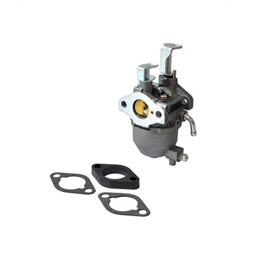 Karburátor Briggs & Stratton 138432, 138436, 138437, 138462, 138466 & 138467 motorokhoz