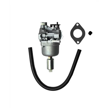 Karburátor Briggs & Stratton 215807, 217807, 219977, 21B807, 21B877, 21B906, 21B907, 21B972, 21B976, 21B977, 21R507, 21R607, 21R777, 21R802,
