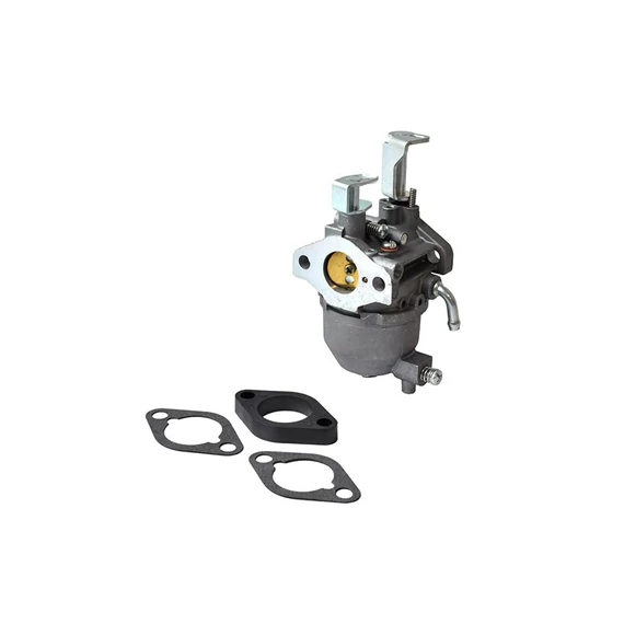 Karburátor Briggs & Stratton 138432, 138436, 138437, 138462, 138466 & 138467 motorokhoz